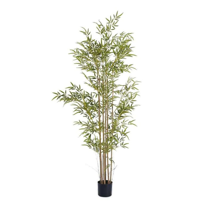 Artificial Bamboo Tree With Pot H210Cm -Green Pan Home