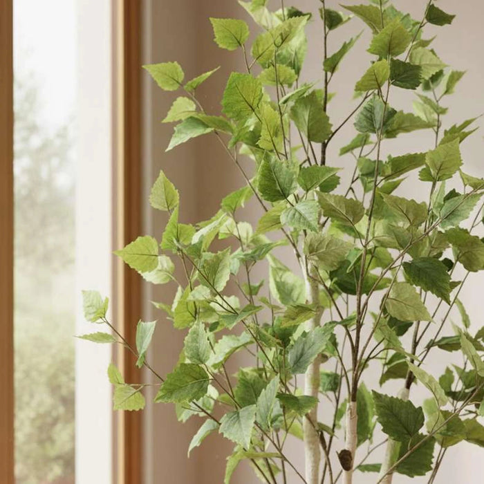 Artificial Birch Tree H154Cm - Green Pan Home