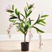 Artificial Bridal Veil Jasmine Plant In Pot H60Cm - White Pan Home