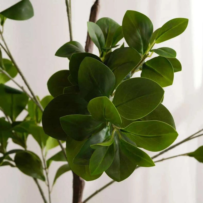 Artificial Camellia Tree 60X60X185Cm - Green Pan Home