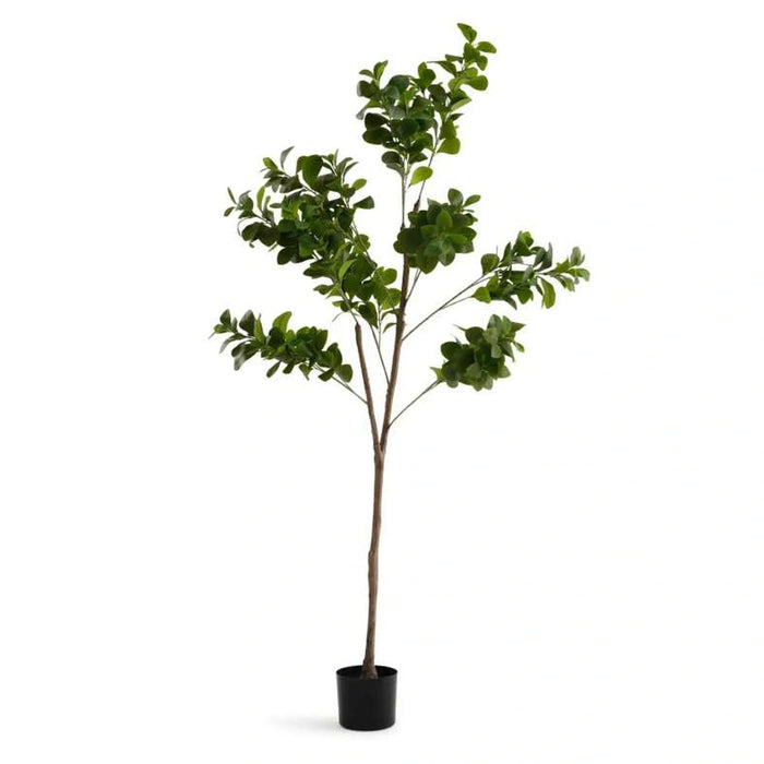 Artificial Camellia Tree 60X60X185Cm - Green Pan Home