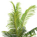 Artificial Chrysalidocarpus Tree With Pot H220Cm -Green Pan Home