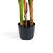 Artificial Chrysalidocarpus Tree With Pot H220Cm -Green Pan Home