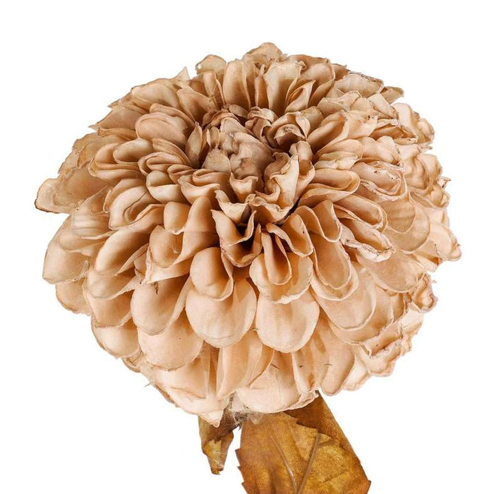 Artificial Chrysanthemum Stem 22.86X22.86X73Cm - Beige