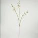 Artificial Consolida Stem Flower H68Cm - White Pan Home