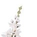 Artificial Delphinium Single Stem Flower H124cm - Cream Pan Home