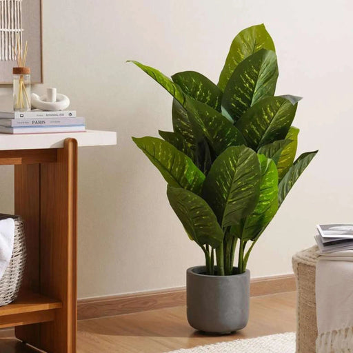 Artificial Diffenbachia Tree H110Cm- Green Pan Home