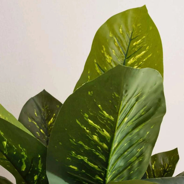Artificial Diffenbachia Tree H110Cm- Green Pan Home