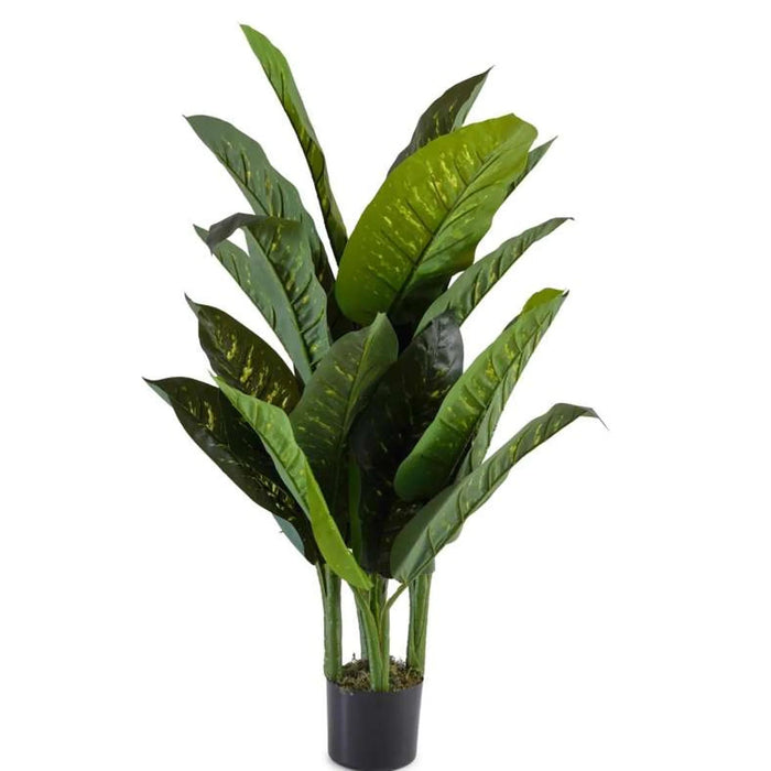 Artificial Diffenbachia Tree H110Cm- Green Pan Home