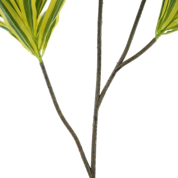Artificial Dracaena Reflexa Stem 48.26X48.26X91.44Cm - Green Pan Home
