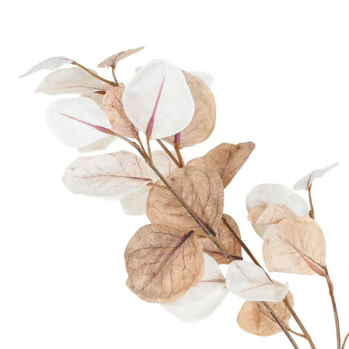 Artificial Eucalyptus Stem 33.02X33.02X96.52Cm - Beige Pan Home