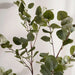 Artificial Eucalyptus Tree 55X55X180Cm - Green Pan Home