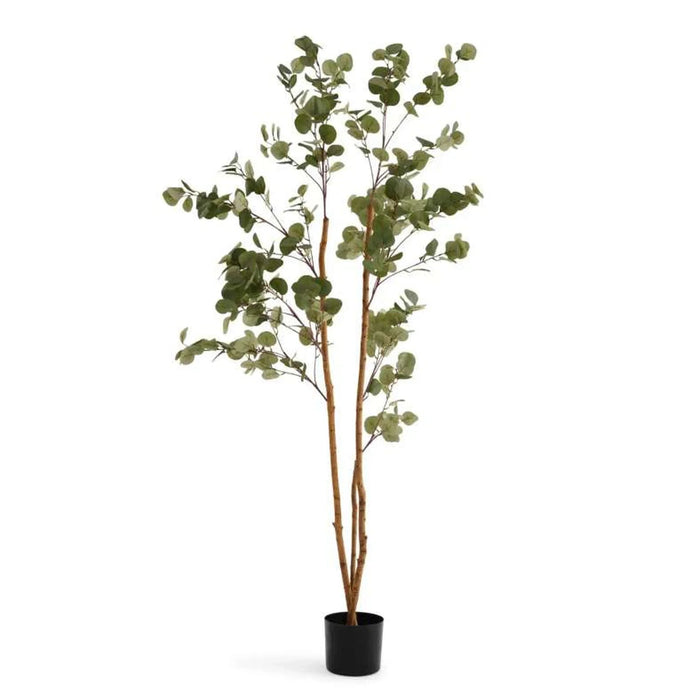Artificial Eucalyptus Tree 55X55X180Cm - Green Pan Home