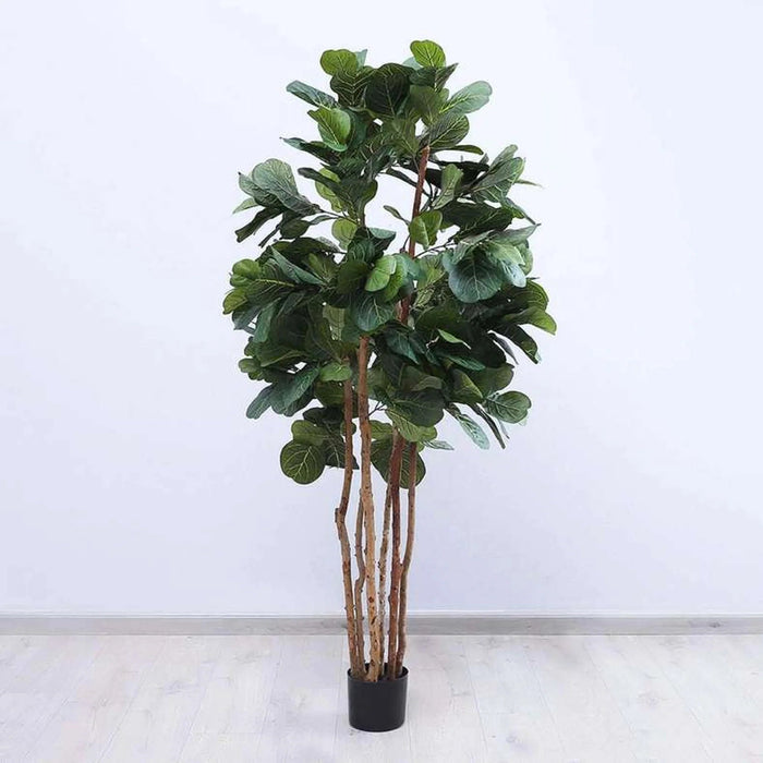 Artificial Fiddle Tree Green H183Cm Pan Home