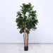 Artificial Fiddle Tree Green H183Cm Pan Home