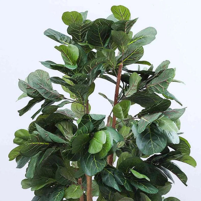 Artificial Fiddle Tree Green H183Cm Pan Home