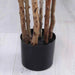 Artificial Fiddle Tree Green H183Cm Pan Home