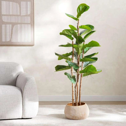 Artificial Fiddle Tree H153Cm - Green Pan Home