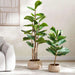 Artificial Fiddle Tree H153Cm - Green Pan Home