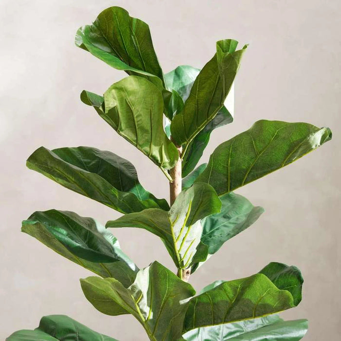 Artificial Fiddle Tree H92Cm - Green Pan Home