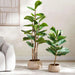 Artificial Fiddle Tree H92Cm - Green Pan Home