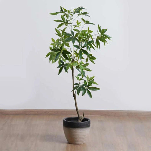 Artificial Fortune Tree With Pot H150Cm -Green Pan Home