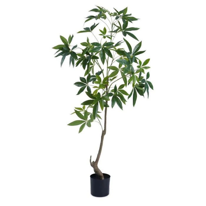 Artificial Fortune Tree With Pot H150Cm -Green Pan Home