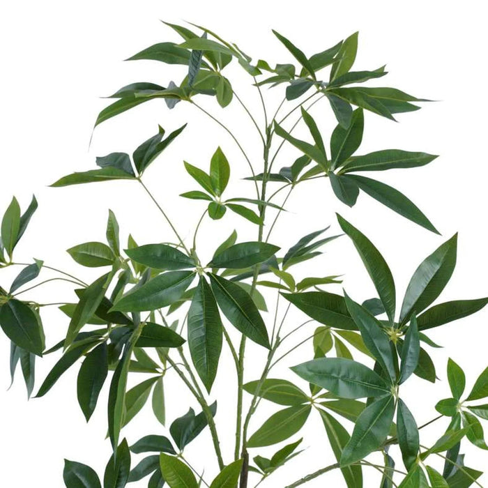 Artificial Fortune Tree With Pot H150Cm -Green Pan Home