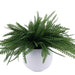 Artificial Grass In White Ceramic Pot 49.53X49.53X40.64Cm - Green Pan Home