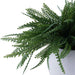 Artificial Grass In White Ceramic Pot 49.53X49.53X40.64Cm - Green Pan Home