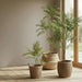 Artificial Jacaranda Tree H120Cm - Green Pan Home