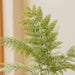 Artificial Jacaranda Tree H59Cm - Green Pan Home