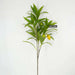 Artificial Mango Stem Branch H101Cm - Green Pan Home