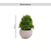 Artificial Multi-Layer Grass Potted H17Cm - Green Pan Home