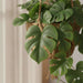 Artificial Nipponlily Hanging Plant H116Cm - Green Pan Home