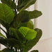 Artificial Oak Tree H130Cm- Green Pan Home