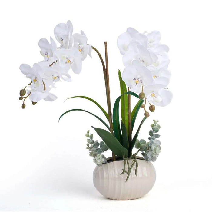 Artificial Orchid Flower With Ceramic Pot H44Cm -White