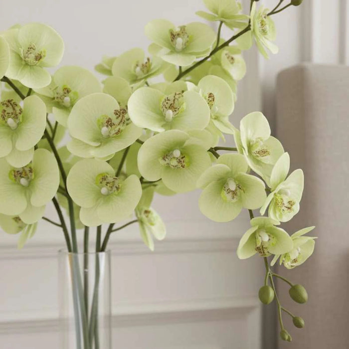 Artificial Orchid Stem Flower H86Cm - Green