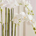 Artificial Orchid Tree H110Cm - White Pan Home