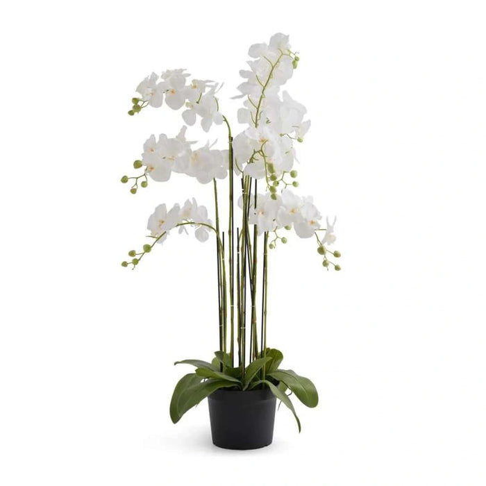 Artificial Orchid Tree H110Cm - White Pan Home