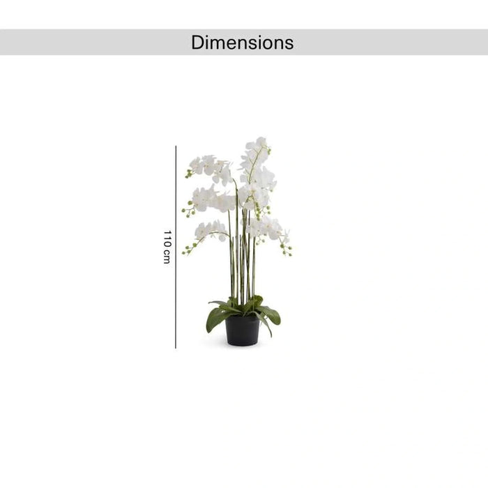 Artificial Orchid Tree H110Cm - White Pan Home
