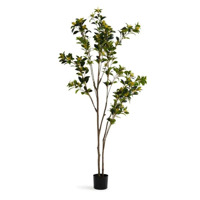 Artificial Osmanthus Tree 65X65X195Cm - Green Pan Home