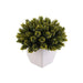 Artificial Plant With Pot H17Cm -Green Pan Home