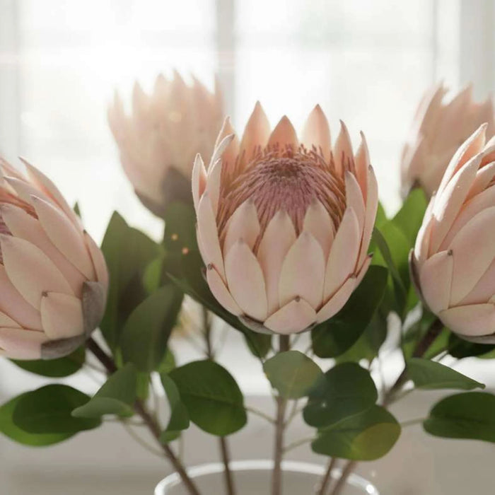 Artificial Protea Stem Flower H68Cm - Light Pink