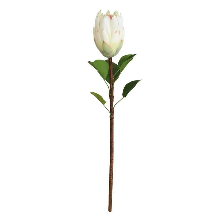 Artificial Protea Stem Flower H68Cm - White