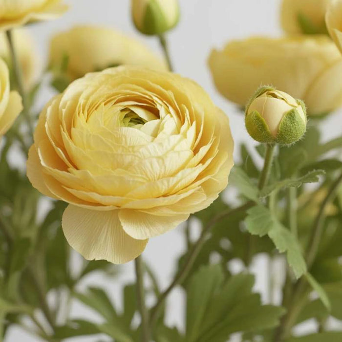 Artificial Real Touch  Rose Stem Flower H50Cm - Yellow
