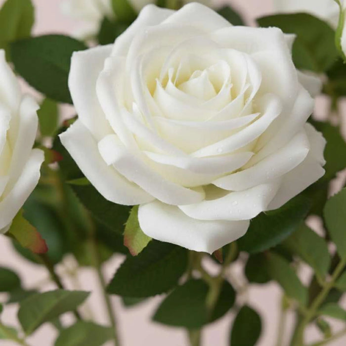 Artificial Real Touch  Rose Stem Flower H71Cm - White