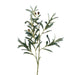 Artificial Stem Olive Fruit - Green Pan Home