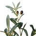Artificial Stem Olive Fruit - Green Pan Home