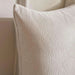 Aspark Filled Cushion - Silver Pan Home